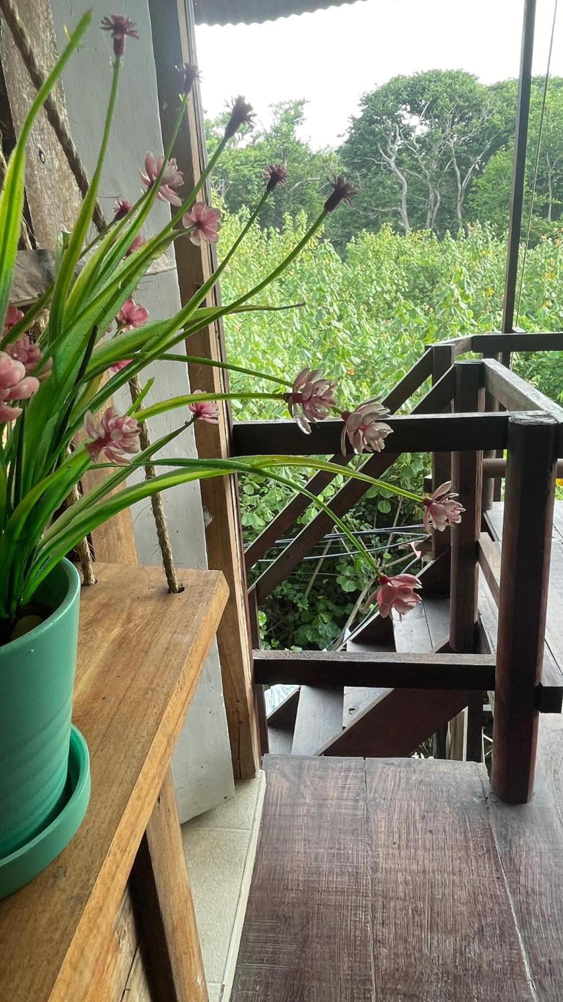 Hostal Velero Relax Guachaca ภายนอก รูปภาพ
